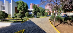 Sector Patio Cuarto Básico